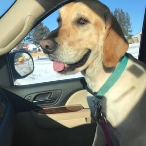 Meet your Posher, Kelly